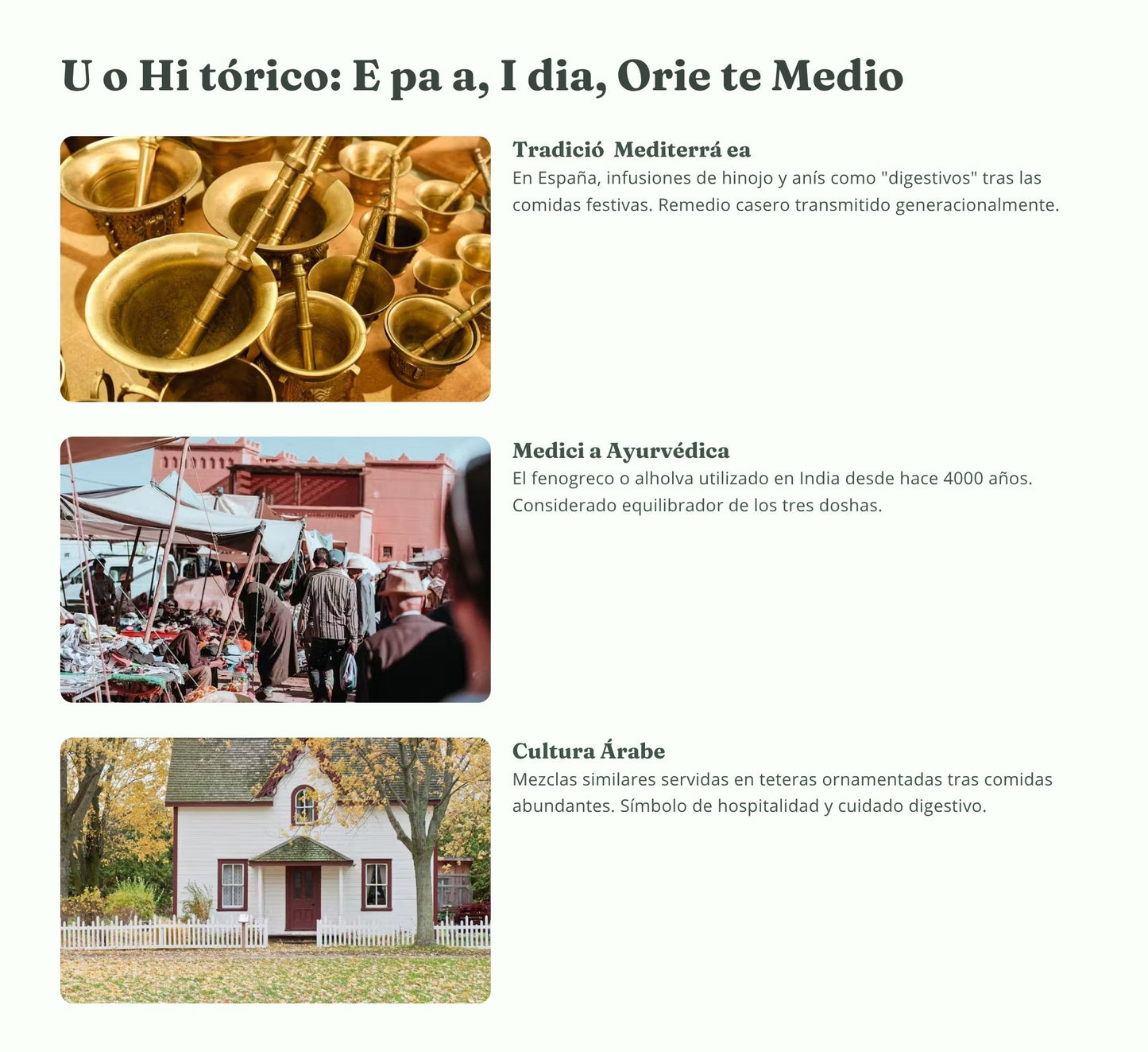 Recetario Té de Hierbas