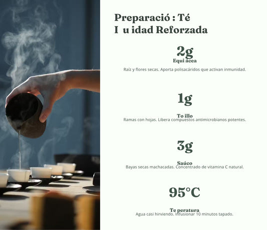 Recetario Té de Hierbas