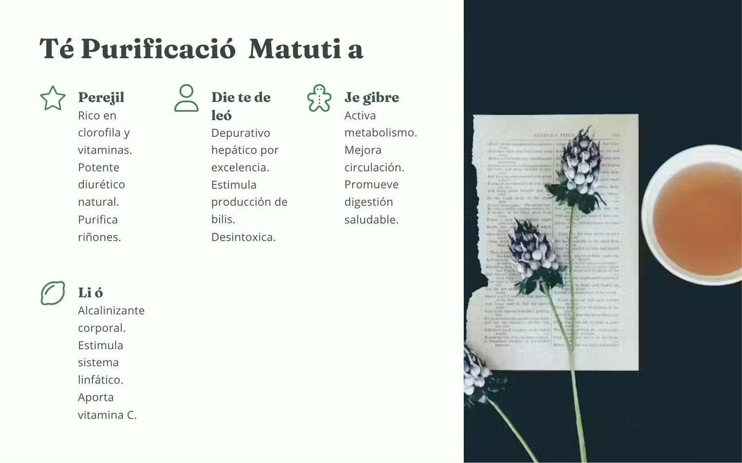 Recetario Té de Hierbas